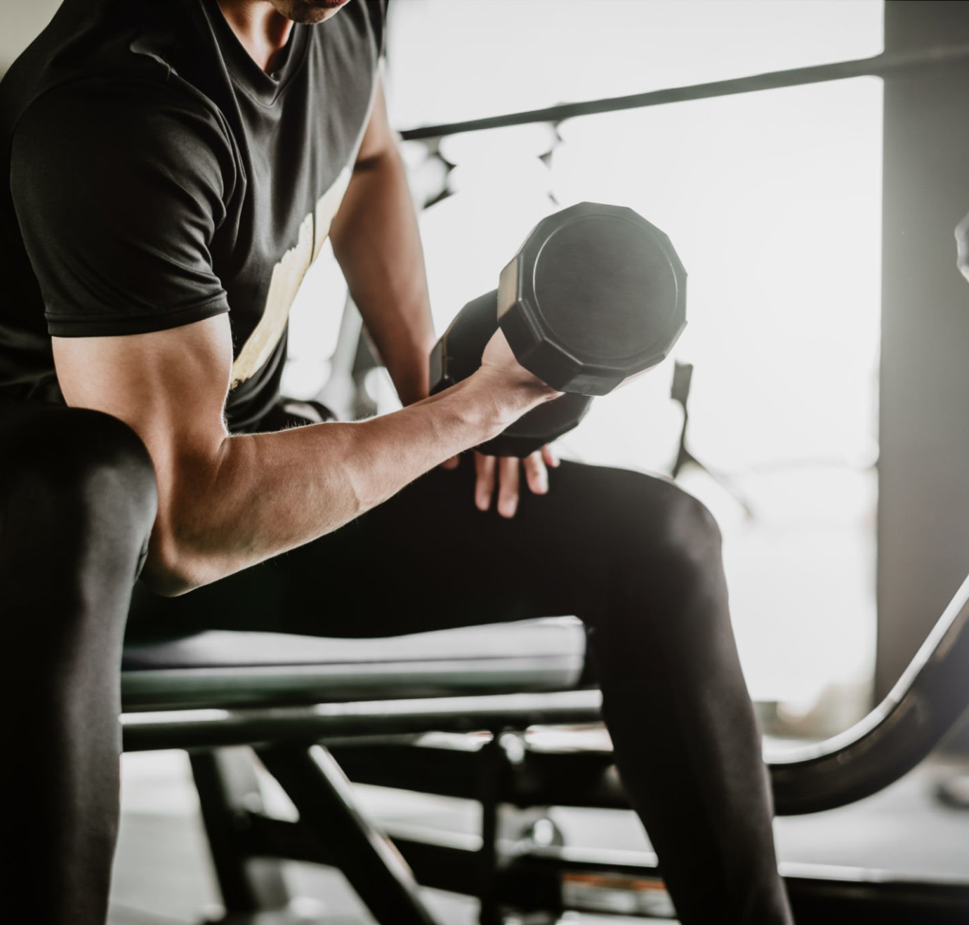 Forseti Athena - Gallery